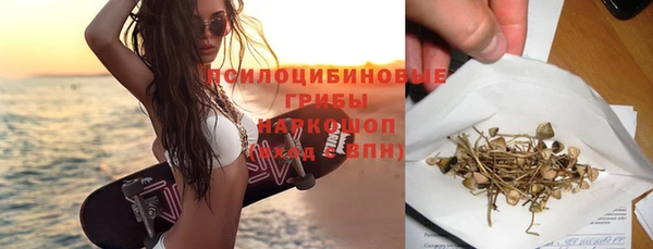ПСИЛОЦИБИНОВЫЕ ГРИБЫ Нягань