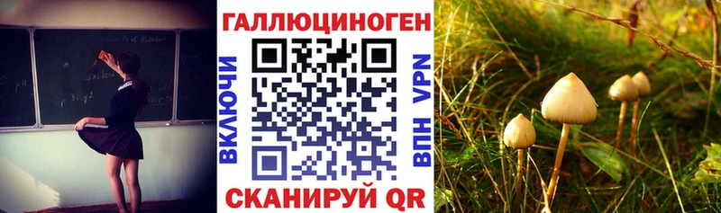 наркошоп Солнечногорск Псилоцибиновые грибы Psilocybe
