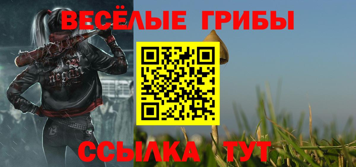 Псилоцибиновые грибы ЛСД Солнечногорск